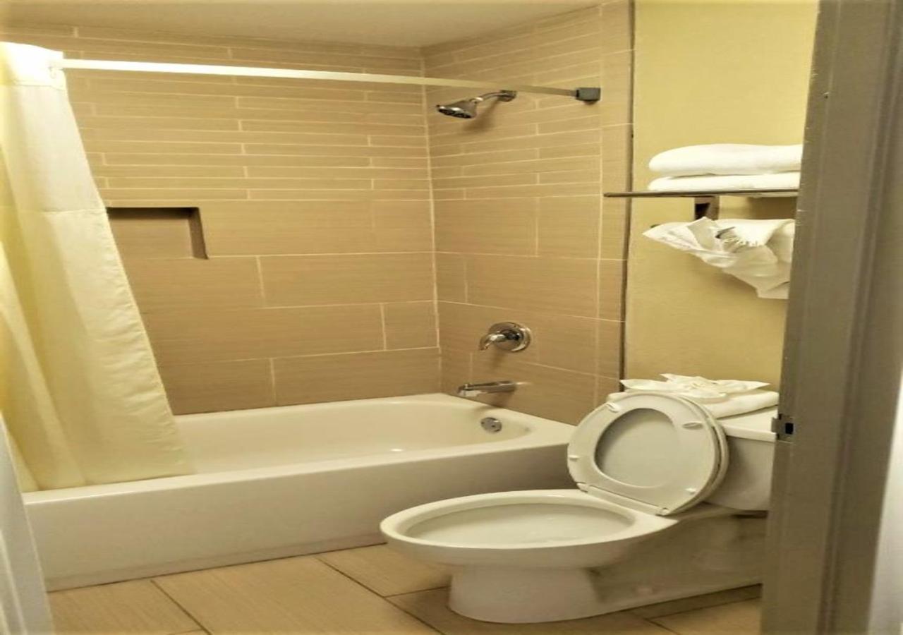 One Room Suite with Sofa bed - Non Smoking/Interior Corridor